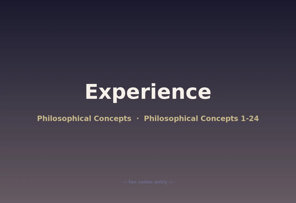 Experience